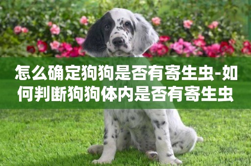 怎么确定狗狗是否有寄生虫-如何判断狗狗体内是否有寄生虫